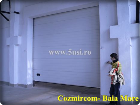 Usi industriale sectionale, Porti industriale sectionale, Sectional overhead doors